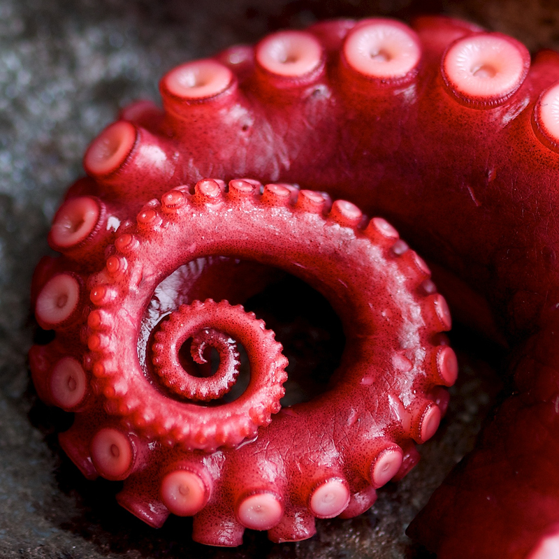 Illustration for article titled Incredible Photographs of Fractals Found in the Natural World
